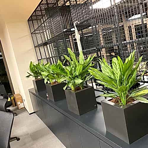 WhatsApp Image 2024-04-28 at 18.56.49_dae1c962